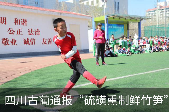 四川古蔺通报“硫磺熏制鲜竹笋”：已对涉案人员进行立案调查，对全县竹笋收购、加工、销售等环节开展全面排查